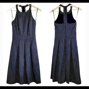 The Limited Navy Polkadot Dress